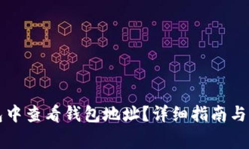 如何在TP钱包中查看钱包地址？详细指南与常见问题解答