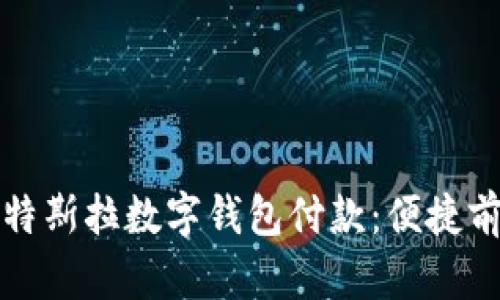 全面解析特斯拉数字钱包付款：便捷前行的未来