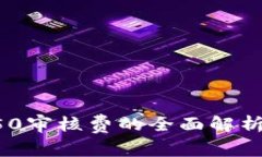 数字钱包350审核费的全面解析与使用指南