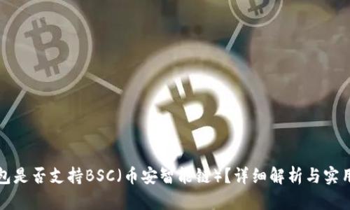 TP钱包是否支持BSC（币安智能链）？详细解析与实用指南