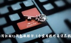 如何识别tp钱包假短信：5个实用技巧与详尽指南