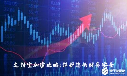 支付宝加密攻略：保护您的财务安全